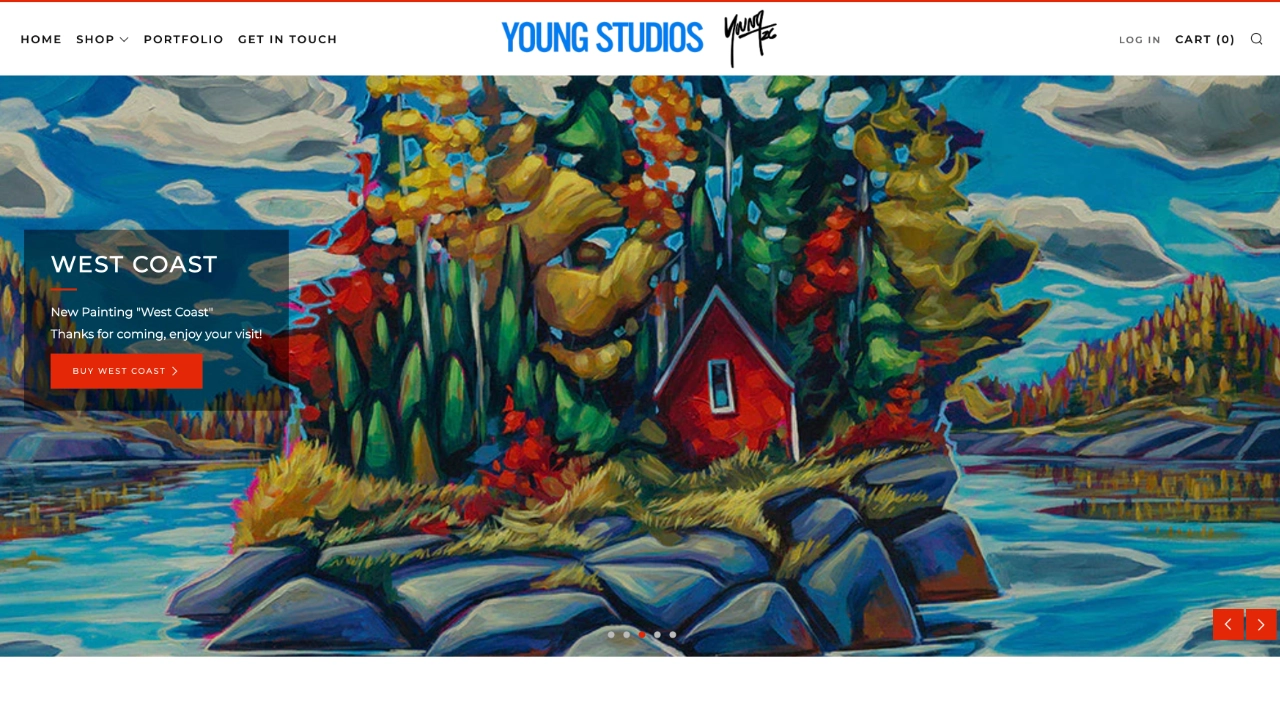 Adam Young Studios website
